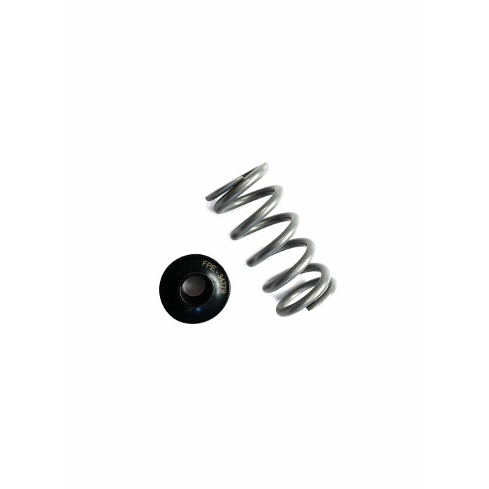Fleece Cummins 24V Spring and Retainer Set