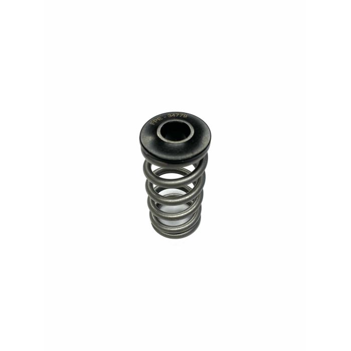 Fleece Cummins 24V Spring and Retainer Set